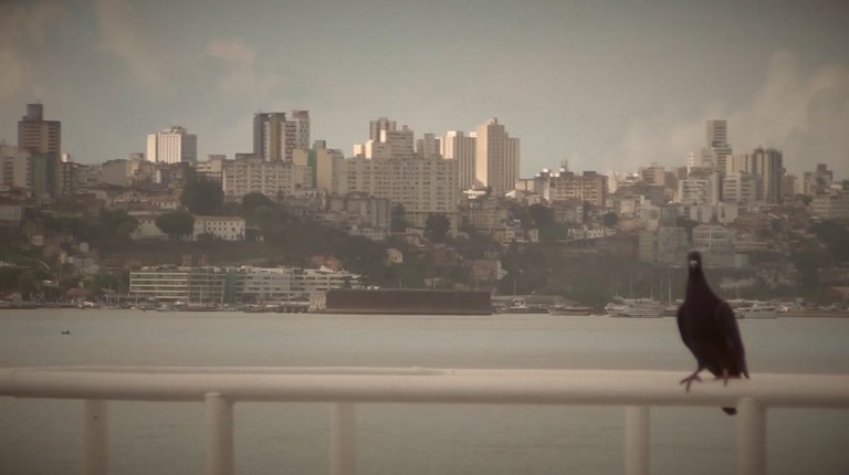 38 the ferry the pigeon the city_Fotor.jpg